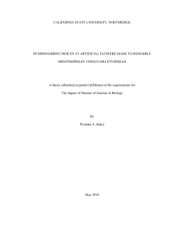 HaleyWyndeeCSUNThesis2010