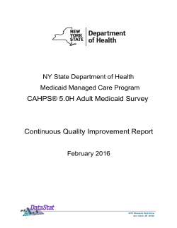 Statewide Plan Survey Results