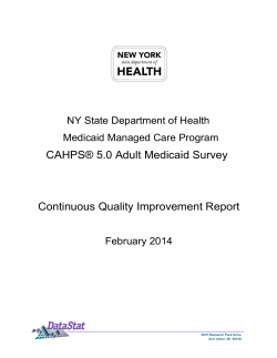 Statewide Plan Survey Results