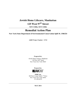 Remedial Action Plan (RAP) and Construction Phase Environmental Health and Safety Plan (CHASP)