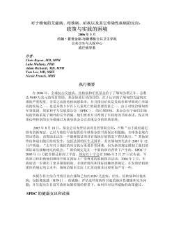 Executive Summary in Chinese