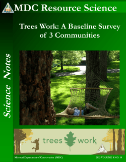 2013_Trees_Work_vol8_10.pdf