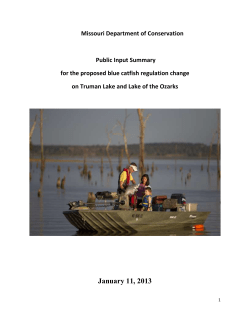 Summary of Public Input on Proposed Blue Catfish Regulations