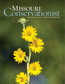 Download the current issue
