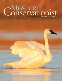 Download the current issue