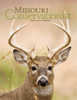Download the current issue