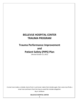 Model PIPS Plan