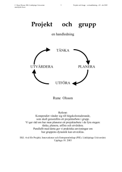 1projektochgruppu10.pdf