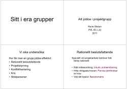 1Att jobba i gruppSTEG2v2.pdf