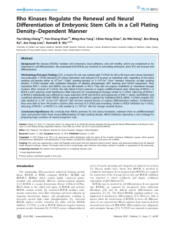 Rho kinases ES cel..