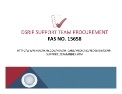 DSRIP Support Team Bidders Conference Presentation