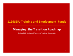 Managing the Transition Roadmap: