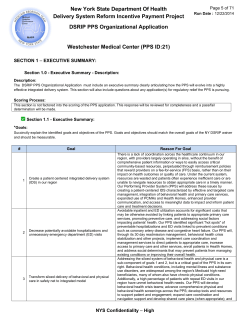 Executive Summary