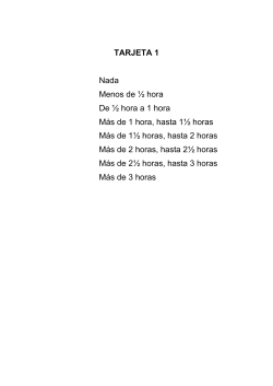 castellano pdf 171 Kb