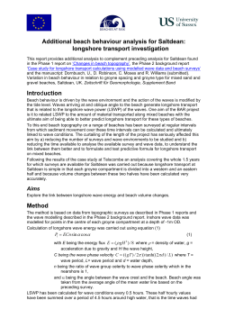 Additional beach behaviour analysis for Saltdean: longshore transport investigation