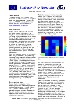 Issue 4 (February 2006)