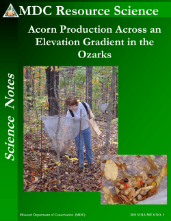2013_Acorn_production_vol8_3.pdf