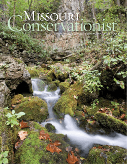 Download the current issue