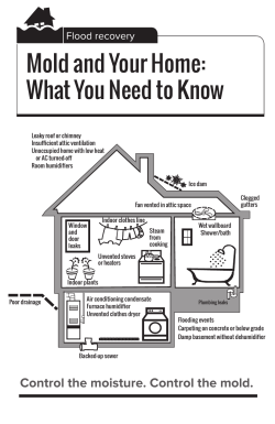Information About Mold (English) (Publication #7287) (PDF)