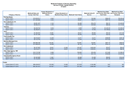 April 2013 Regional Global Cap Reports