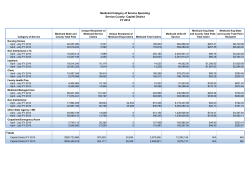 July 2013 Regional Global Cap Reports