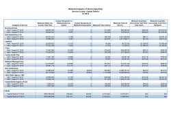 August 2013 Regional Global Cap Reports