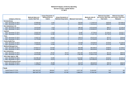 November 2013 Regional Global Cap Reports