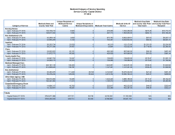 February 2014 Regional Global Cap Reports