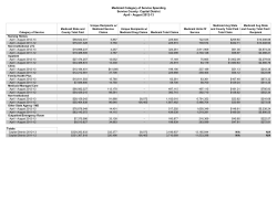 August 2012 Regional Global Cap Reports