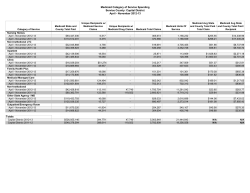 November 2012 Regional Global Cap Reports