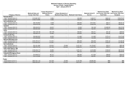 January 2013 Regional Global Cap Reports