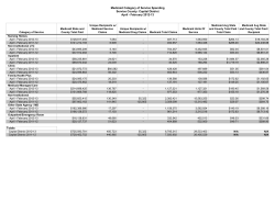 February 2013 Regional Global Cap Reports