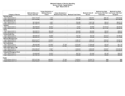 March 2013 Regional Global Cap Reports