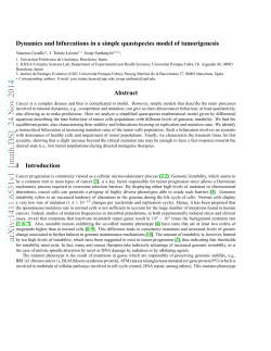 Dynamics and bifurcations in a simple quasispecies model of tumorigenesis