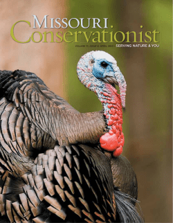 Download the current issue