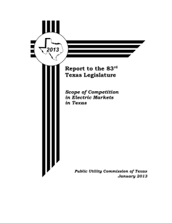 2013 Scope of Competition in Electric Markets in Texas