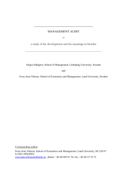 management_audit.pdf