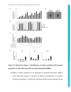 Supplementary information