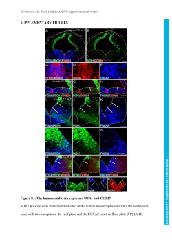 Supplementary information