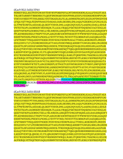 Supplementary Material PDF