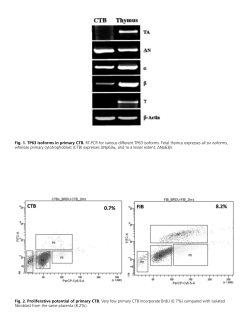 Supplementary Material PDF
