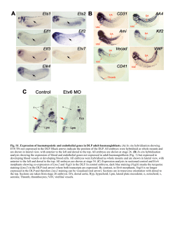 Supplementary Material PDF