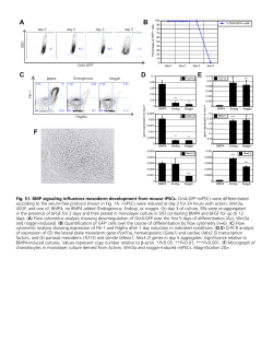 Supplementary Material PDF