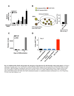 Supplementary Material PDF