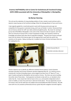 detailed report of Martyn s visit