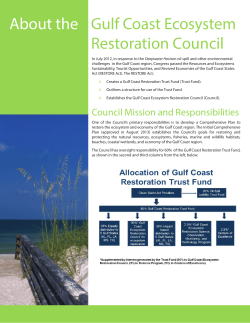 Gulf Coast Ecosystem Restoration Council to review proposals and hand out 30% of funds