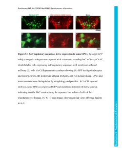 Supplementary information