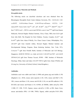 Supplementary information