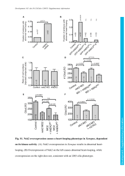 Supplementary information