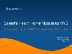 November 15, 2013 - Salient Presentation